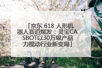 京东 618 人形机器人赛道爆发：灵宝CASBOT以30万级产品力搅动行业新变局