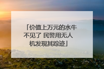 价值上万元的水牛不见了 民警用无人机发现其踪迹