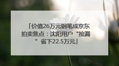 价值26万元钢笔成京东拍卖焦点：沈阳用户“捡漏”省下22.5万元