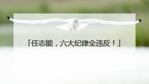 任志能，六大纪律全违反！