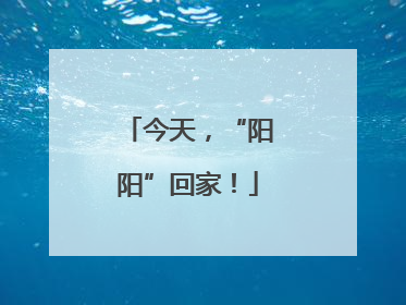 今天，“阳阳”回家！