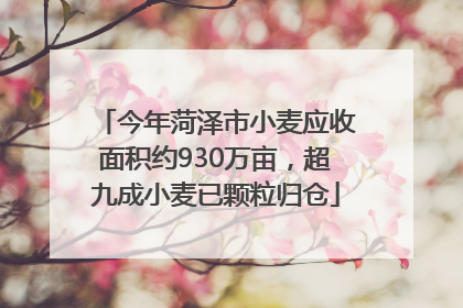 今年菏泽市小麦应收面积约930万亩，超九成小麦已颗粒归仓