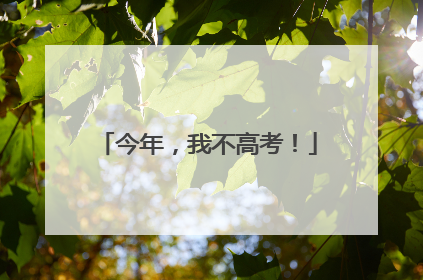 今年，我不高考！