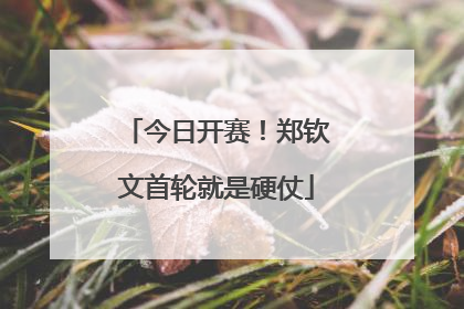 今日开赛！郑钦文首轮就是硬仗