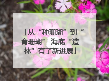 从“种珊瑚”到“育珊瑚” 海底“造林”有了新进展