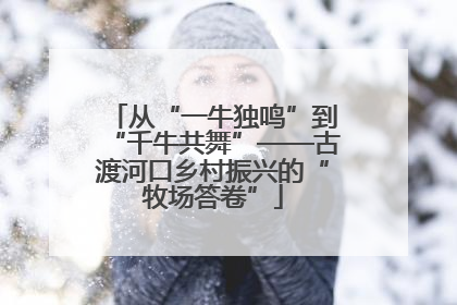 从“一牛独鸣”到“千牛共舞”——古渡河口乡村振兴的“牧场答卷”