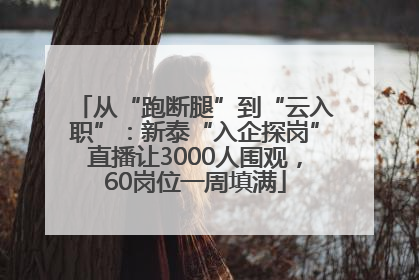 从“跑断腿”到“云入职”：新泰“入企探岗”直播让3000人围观，60岗位一周填满