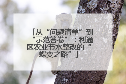 从“问题清单”到“示范答卷”：利通区农业节水整改的“蝶变之路”