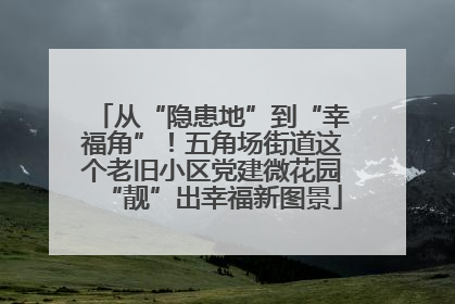 从“隐患地”到“幸福角”！五角场街道这个老旧小区党建微花园“靓”出幸福新图景