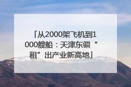 从2000架飞机到1000艘船：天津东疆“租”出产业新高地