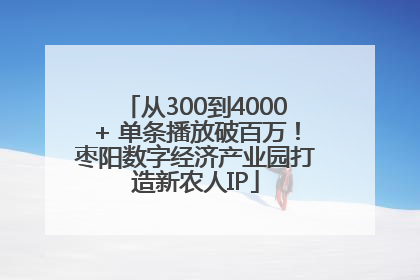 从300到4000+ 单条播放破百万！枣阳数字经济产业园打造新农人IP