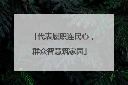代表履职连民心，群众智慧筑家园