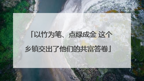 以竹为笔、点绿成金 这个乡镇交出了他们的共富答卷