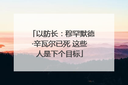 以防长：穆罕默德·辛瓦尔已死 这些人是下个目标