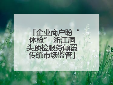 企业商户盼“体检” 浙江洞头预检服务颠覆传统市场监管