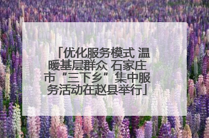 优化服务模式 温暖基层群众 石家庄市“三下乡”集中服务活动在赵县举行