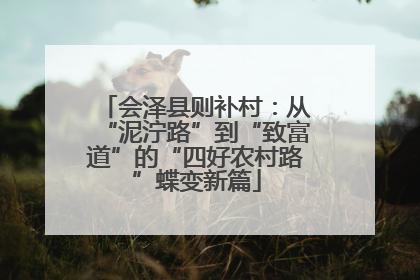 会泽县则补村：从“泥泞路”到“致富道”的“四好农村路”蝶变新篇
