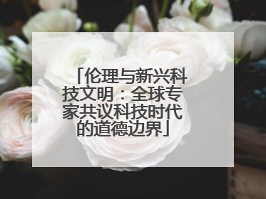 伦理与新兴科技文明：全球专家共议科技时代的道德边界