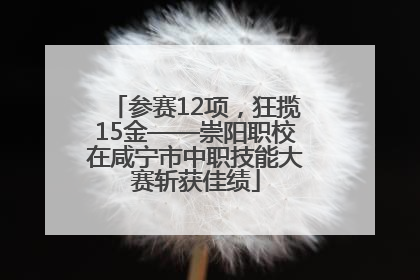 参赛12项，狂揽15金——崇阳职校在咸宁市中职技能大赛斩获佳绩