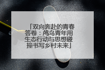 双向奔赴的青春答卷：鸬鸟青年用生态行动与思想碰撞书写乡村未来