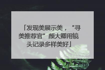 发现美展示美，“寻美推荐官”颜大卿用镜头记录多样美好