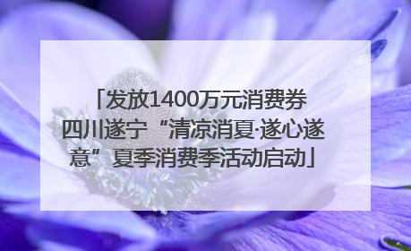 发放1400万元消费券 四川遂宁“清凉消夏·遂心遂意”夏季消费季活动启动
