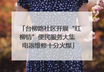 台柳路社区开展“红柳情”便民服务大集 电器维修十分火爆
