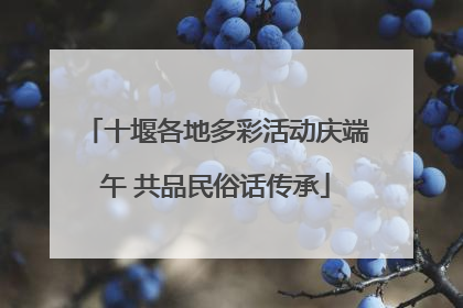 十堰各地多彩活动庆端午 共品民俗话传承