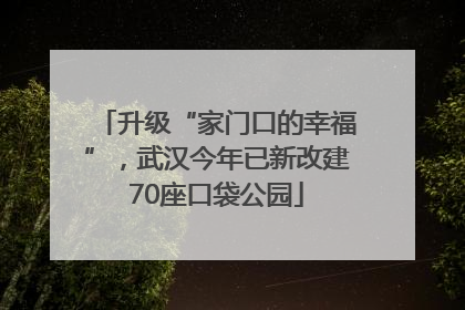 升级“家门口的幸福”，武汉今年已新改建70座口袋公园