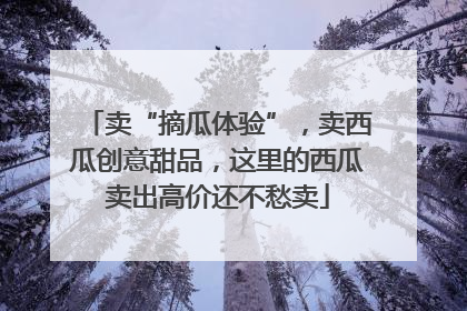 卖“摘瓜体验”，卖西瓜创意甜品，这里的西瓜卖出高价还不愁卖