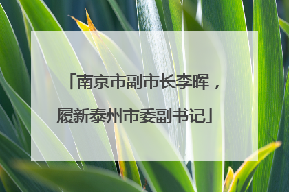 南京市副市长李晖，履新泰州市委副书记