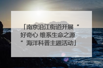 南京沿江街道开展“好奇心 维系生命之源”海洋科普主题活动