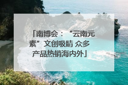 南博会：“云南元素”文创吸睛 众多产品热销海内外