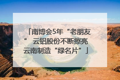 南博会5年“老朋友” 云铝股份不断擦亮云南制造“绿名片”