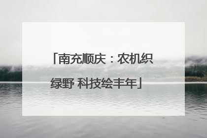 南充顺庆：农机织绿野 科技绘丰年