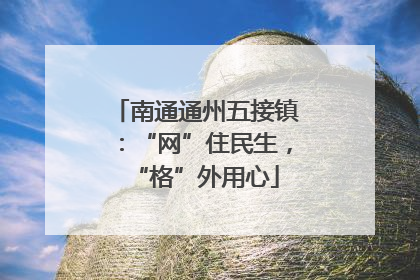 南通通州五接镇：“网”住民生，“格”外用心
