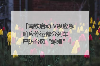 南铁启动Ⅳ级应急响应停运部分列车 严防台风“蝴蝶”