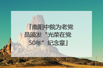 南阳中院为老党员颁发“光荣在党50年”纪念章