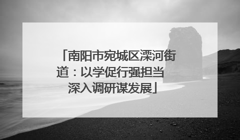 南阳市宛城区溧河街道：以学促行强担当 深入调研谋发展