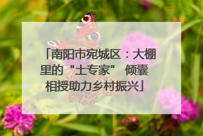 南阳市宛城区：大棚里的“土专家” 倾囊相授助力乡村振兴