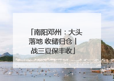 南阳邓州：大头落地 收储归仓丨战三夏保丰收