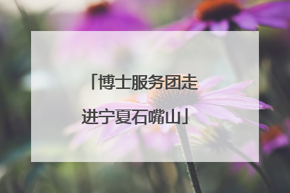 博士服务团走进宁夏石嘴山