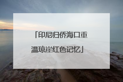 印尼归侨海口重温琼崖红色记忆