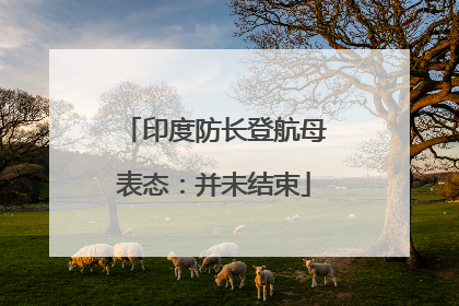 印度防长登航母表态：并未结束