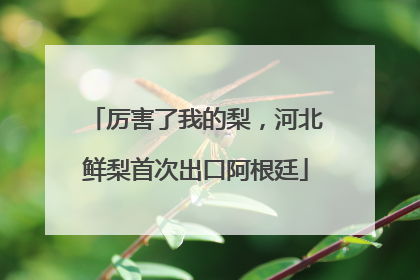 厉害了我的梨，河北鲜梨首次出口阿根廷