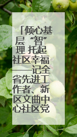 倾心基层“智”理 托起社区幸福——记全省先进工作者、新区文曲中心社区党委书记董世弘