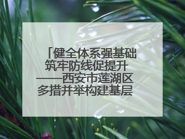 健全体系强基础 筑牢防线促提升——西安市莲湖区多措并举构建基层应急管理新格局