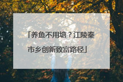 养鱼不用塘？江陵秦市乡创新致富路径