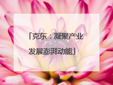 克东：凝聚产业发展澎湃动能