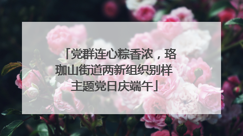 党群连心粽香浓，珞珈山街道两新组织别样主题党日庆端午